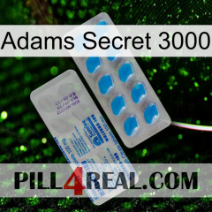 Adams Secret 3000 new15